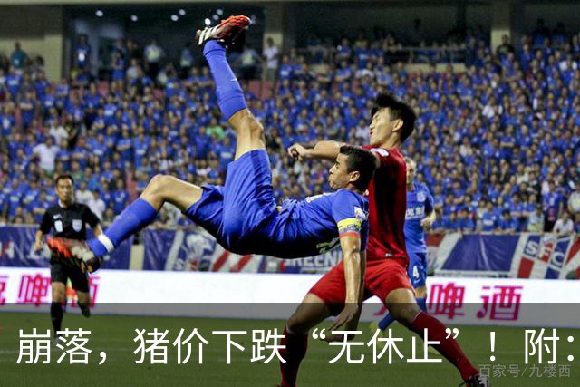 崩落，猪价下跌“无休止”！附：10月28日猪价